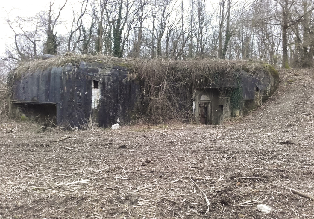 Ligne Maginot - ROUNTZENHEIM NORD - (Casemate d'infanterie) -  - Martz yannick