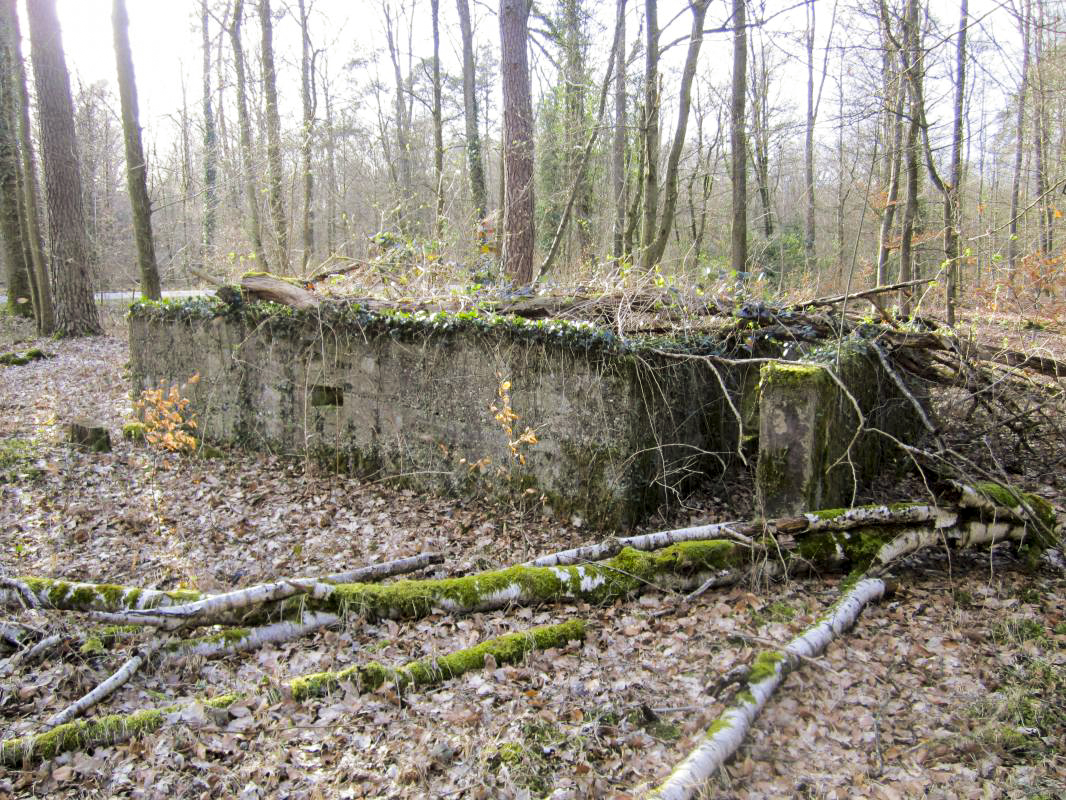 Ligne Maginot - SANDMUEHLE - (Casernement) -  - gregfuchs