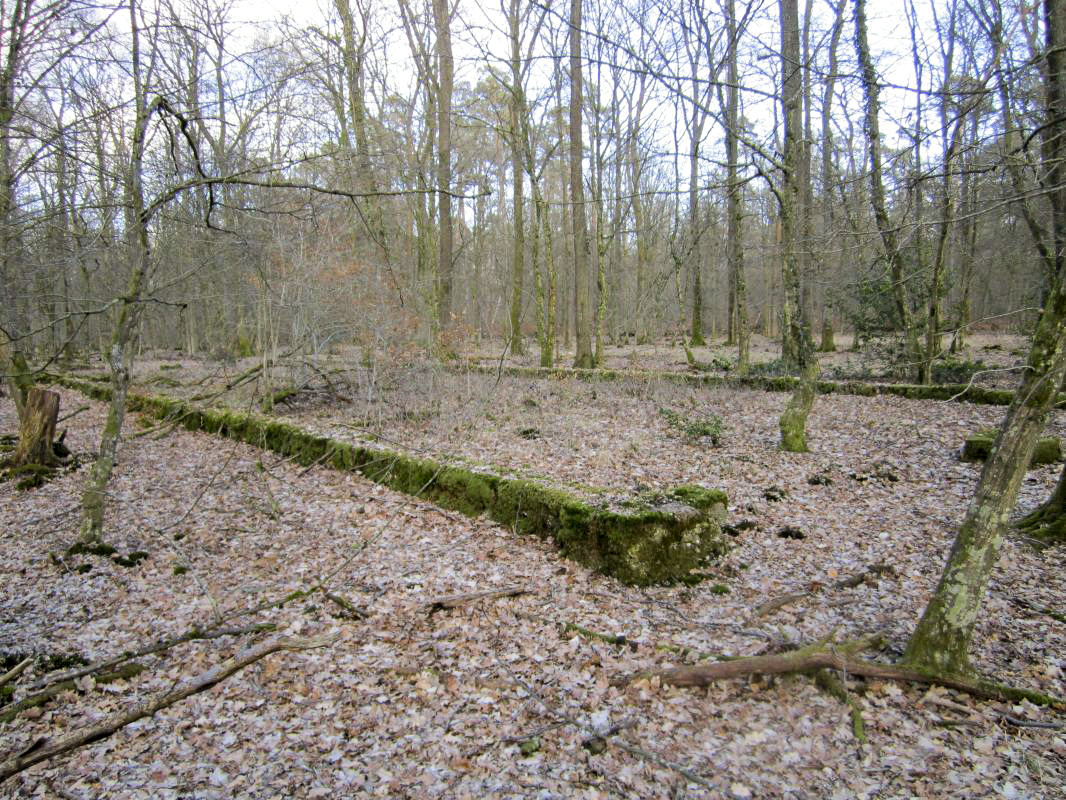 Ligne Maginot - SANDMUEHLE - (Casernement) -  - gregfuchs