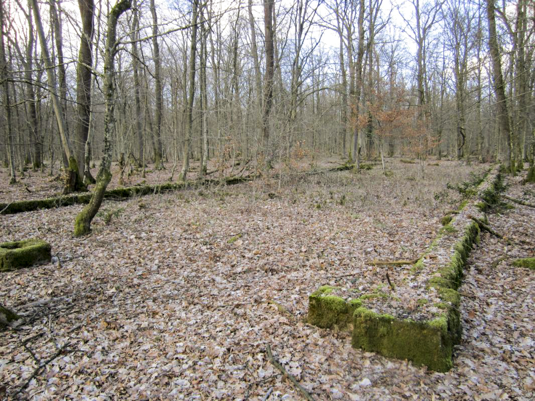 Ligne Maginot - SANDMUEHLE - (Casernement) -  - gregfuchs