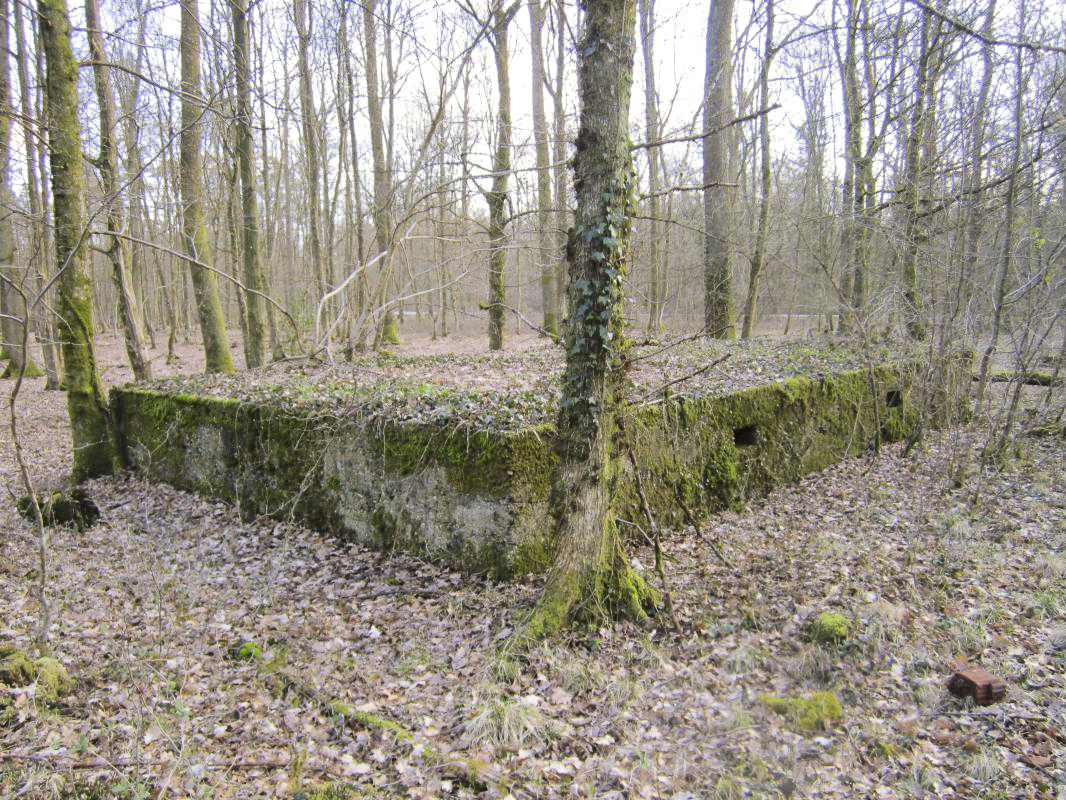 Ligne Maginot - SANDMUEHLE - (Casernement) -  - gregfuchs