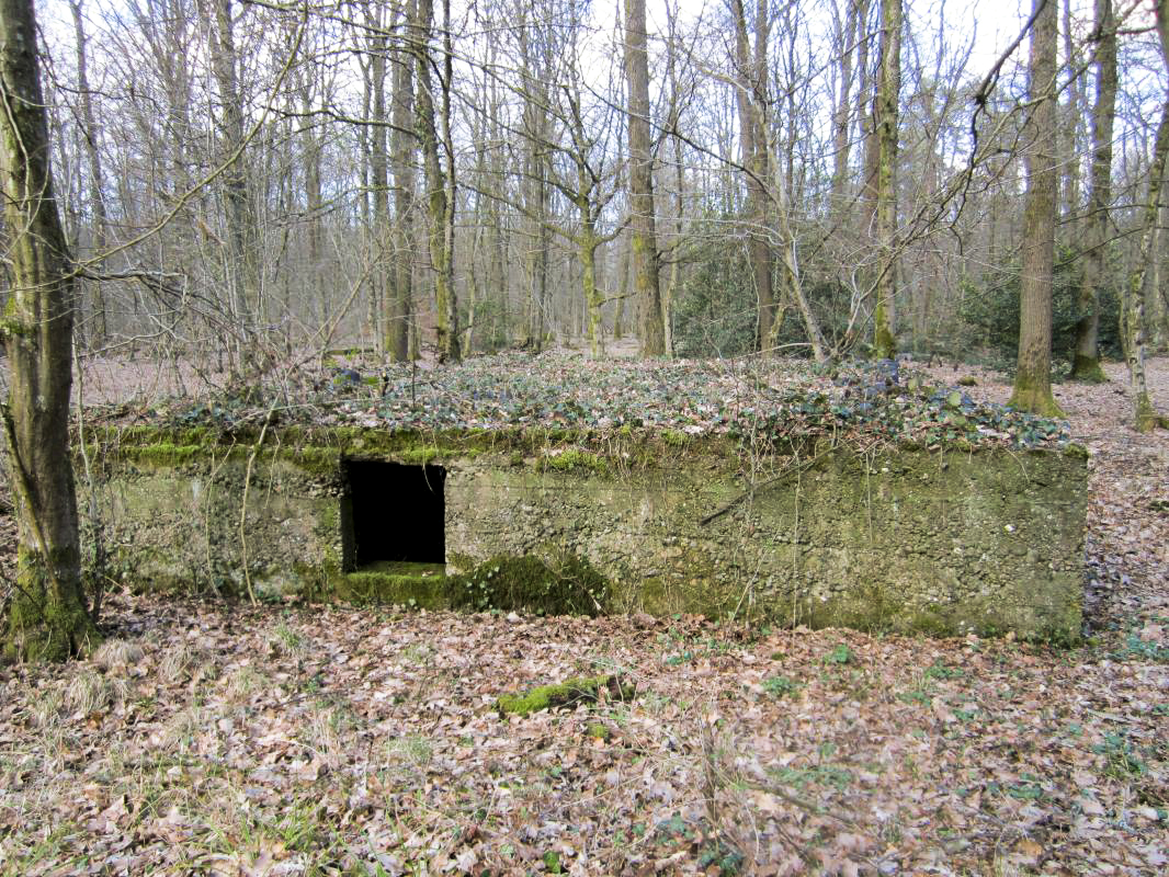 Ligne Maginot - SANDMUEHLE - (Casernement) -  - gregfuchs