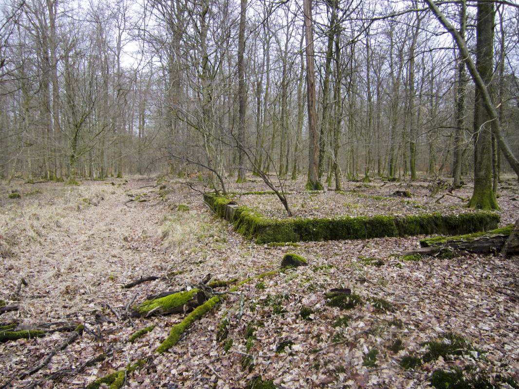 Ligne Maginot - SANDMUEHLE - (Casernement) -  - gregfuchs