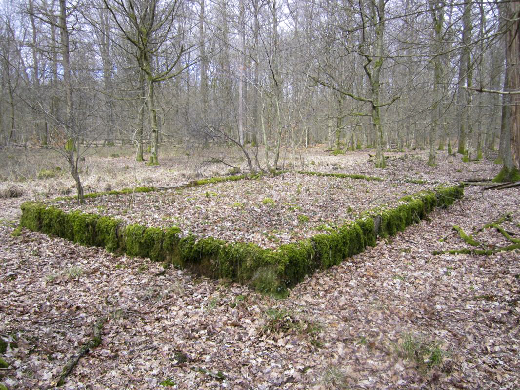 Ligne Maginot - SANDMUEHLE - (Casernement) -  - gregfuchs