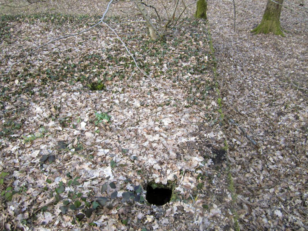 Ligne Maginot - SANDMUEHLE - (Casernement) -  - gregfuchs