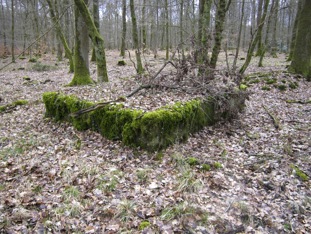 Ligne Maginot - SANDMUEHLE - (Casernement) -  - gregfuchs