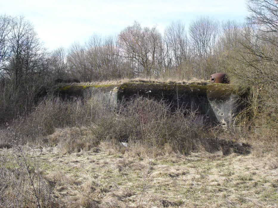 Ligne Maginot - GRAND BOIS - (Casemate d'infanterie) - Vue générale - Christian LENHARD