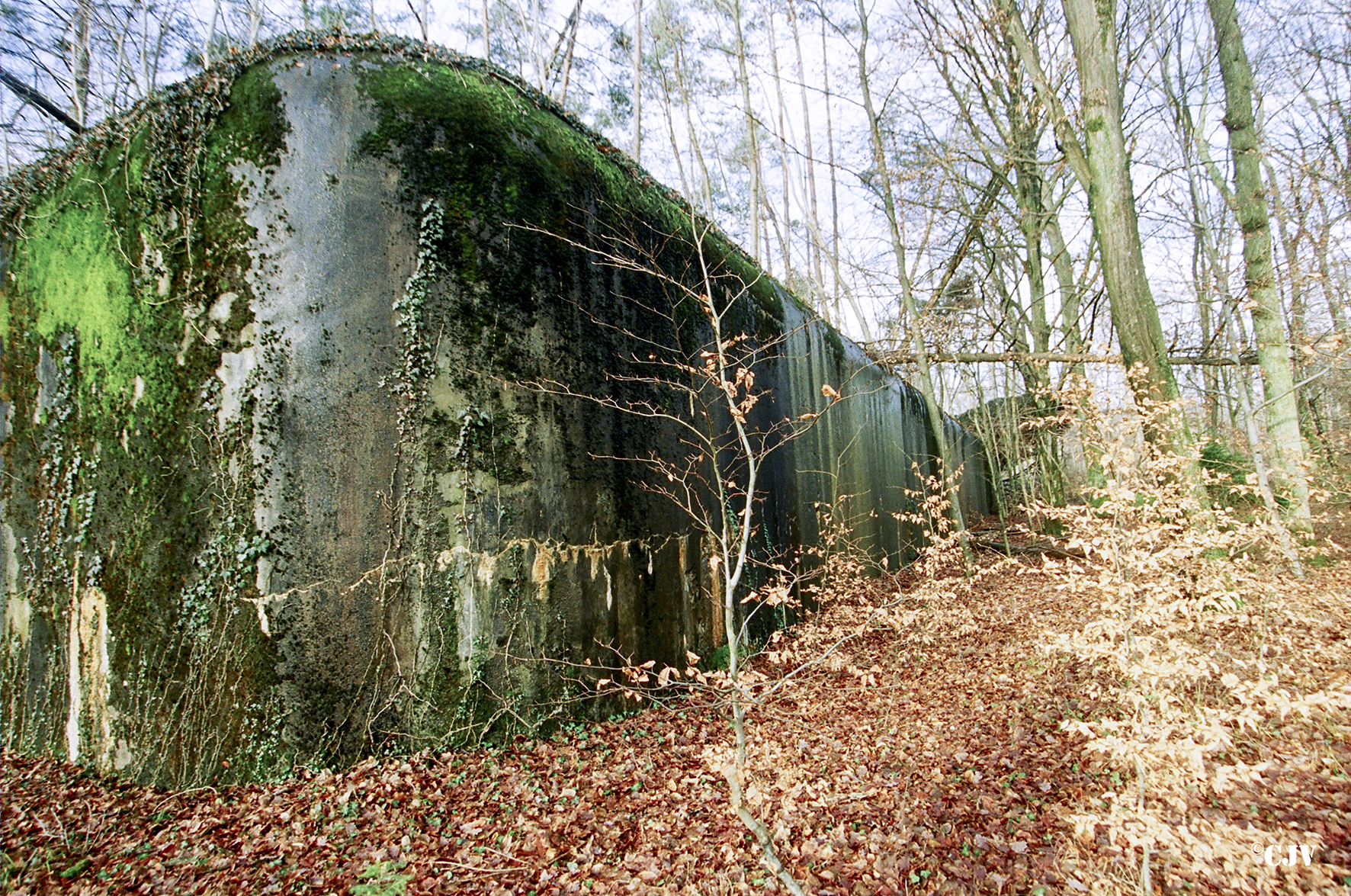 Ligne Maginot - SAUER (Abri) - Mur de façade frontale - Caspar Vermeulen