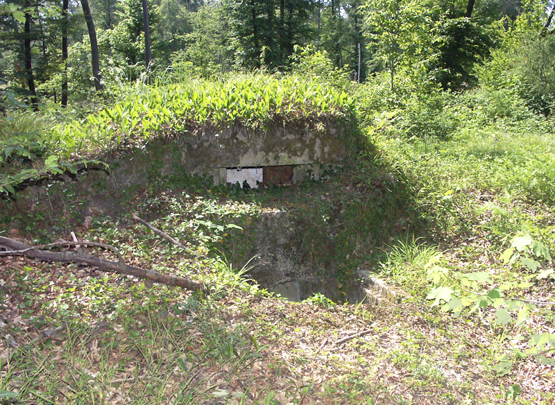 Ligne Maginot - SAUER 1 (Blockhaus pour arme infanterie) -  - LAMBERT Pascal