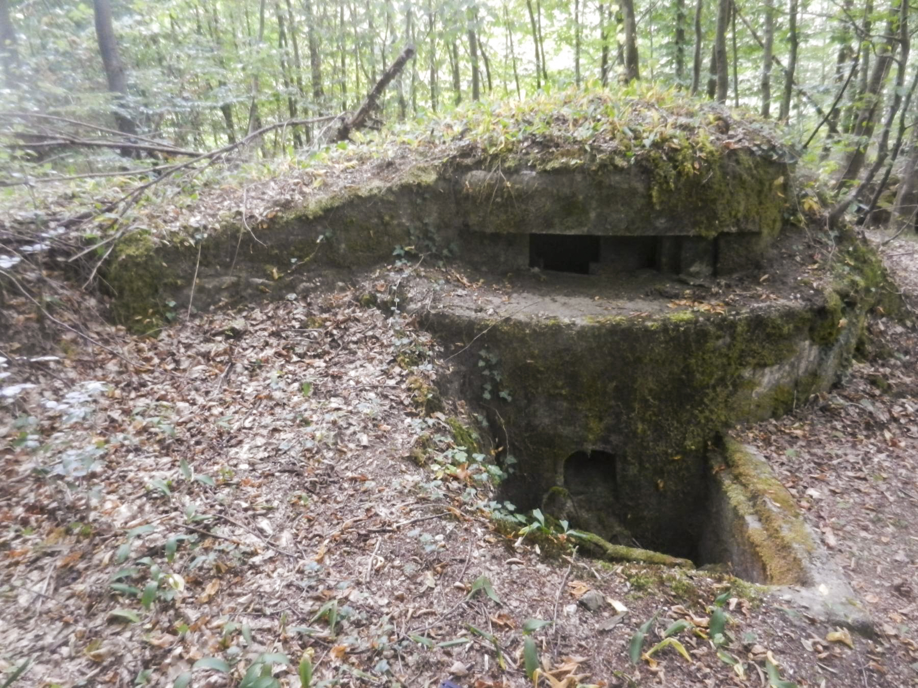 Ligne Maginot - SAUER 1 - (Blockhaus pour arme infanterie) -  - Corentin K-C.