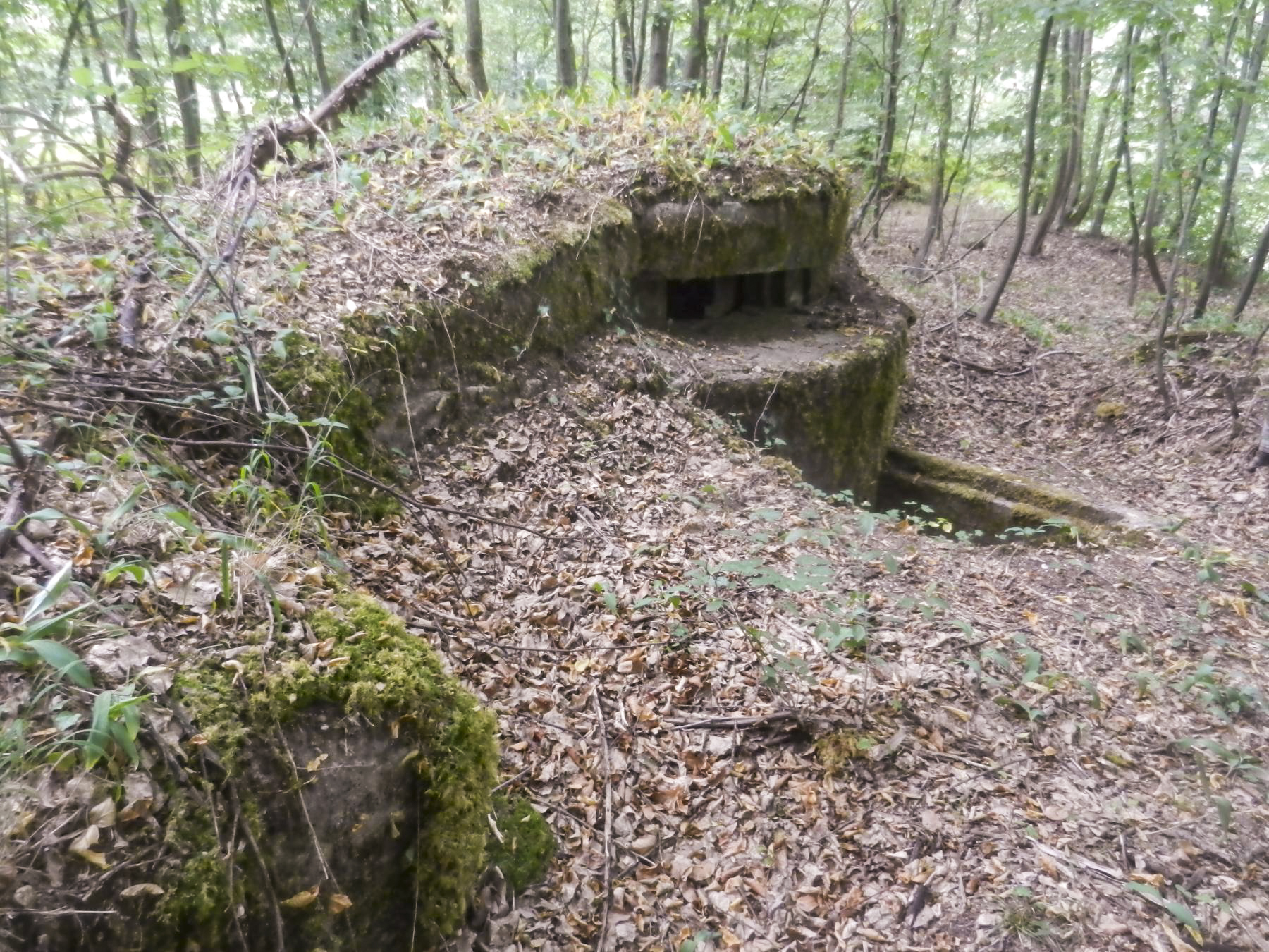 Ligne Maginot - SAUER 1 - (Blockhaus pour arme infanterie) -  - Corentin K-C.