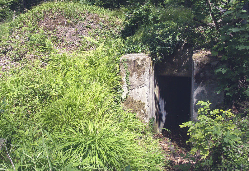 Ligne Maginot - SAUER 1 (Blockhaus pour arme infanterie) -  - LAMBERT Pascal