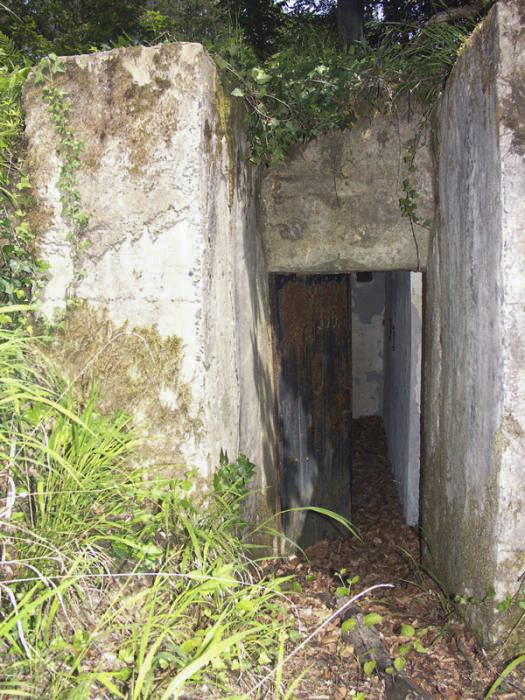 Ligne Maginot - SAUER 1 (Blockhaus pour arme infanterie) -  - LAMBERT Pascal