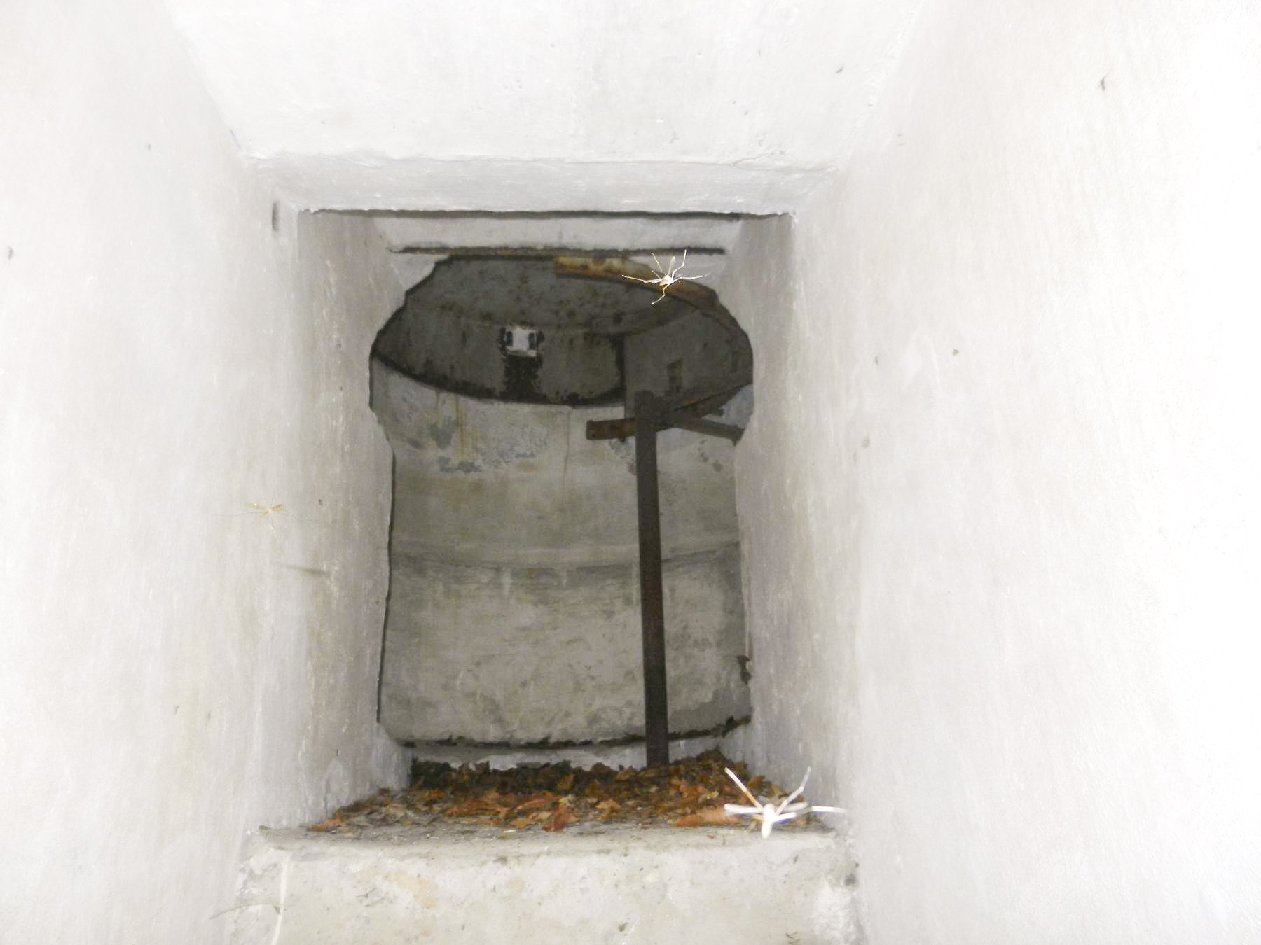 Ligne Maginot - SAUER 1 - (Blockhaus pour arme infanterie) -  - Corentin K-C.