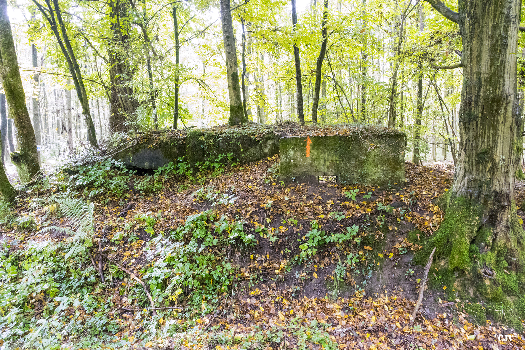 Ligne Maginot - SCHONUNG 2 (Blockhaus pour arme infanterie) -  - Lia VERMEULEN