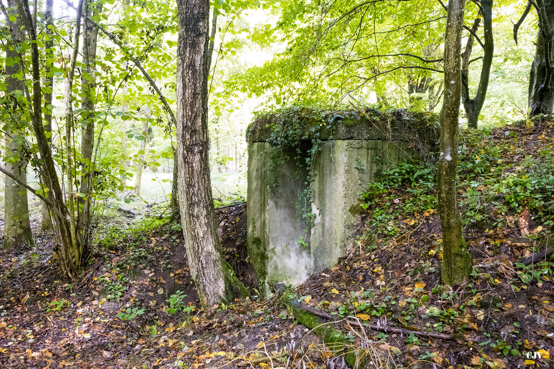 Ligne Maginot - SCHONUNG 2 (Blockhaus pour arme infanterie) -  - Lia VERMEULEN