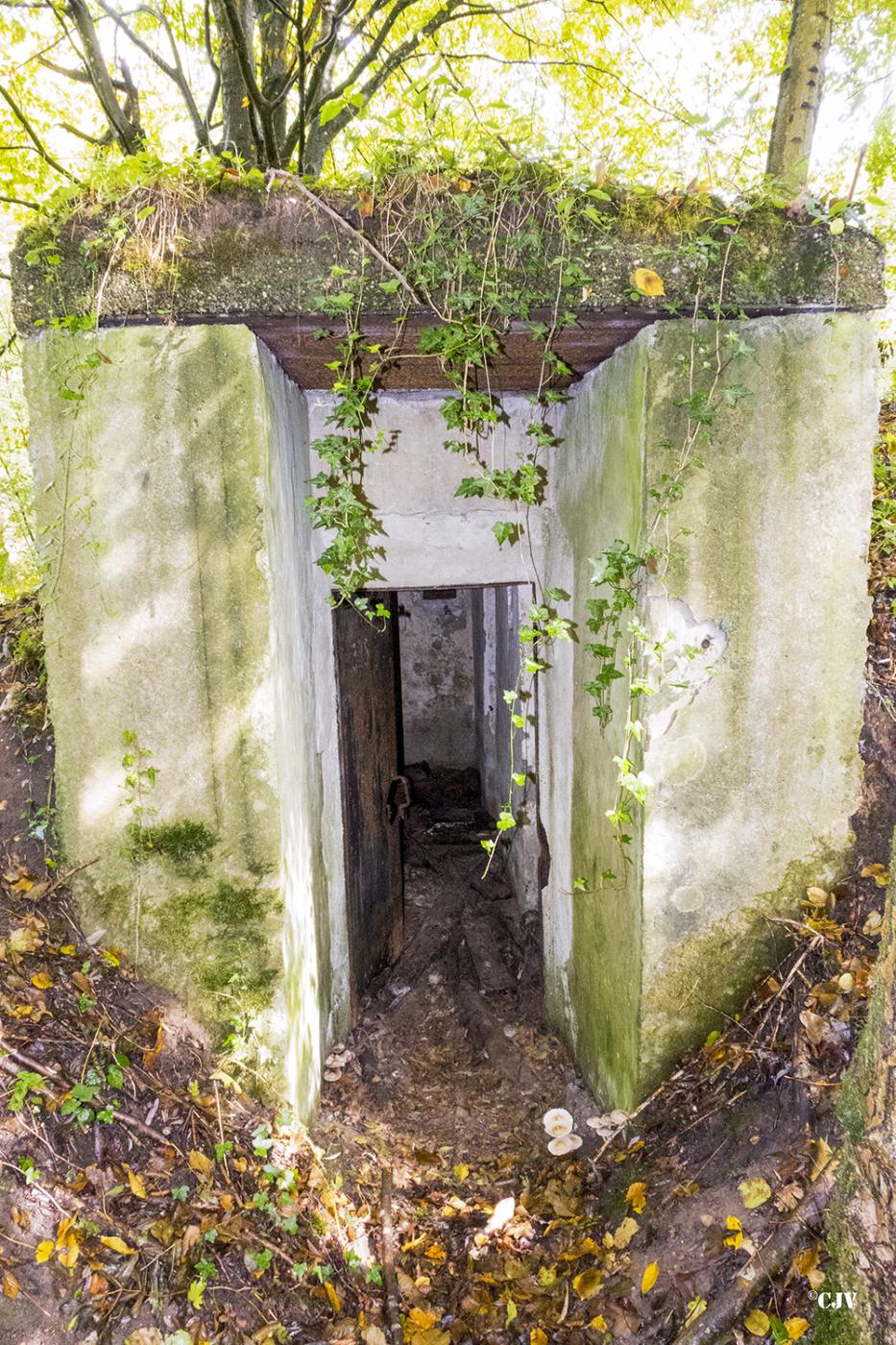 Ligne Maginot - SCHONUNG 2 (Blockhaus pour arme infanterie) -  - Lia VERMEULEN