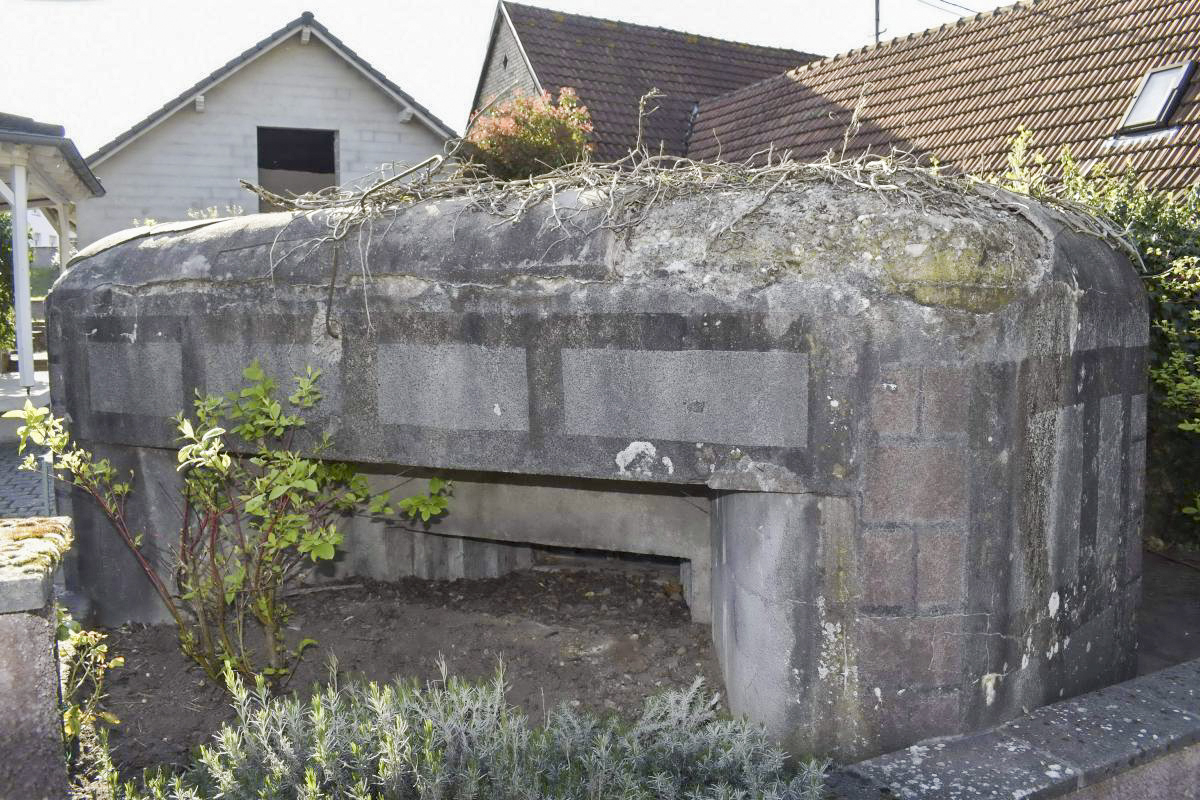 Ligne Maginot - SELTZ 8 (Pont de la Sauer) (Blockhaus pour canon) - Créneau pour canon - D. Froehly