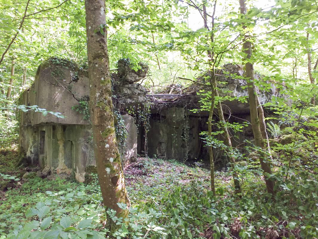 Ligne Maginot - SELTZBACH 5 - (Blockhaus pour arme infanterie) - Le bloc détruit - gregfuchs