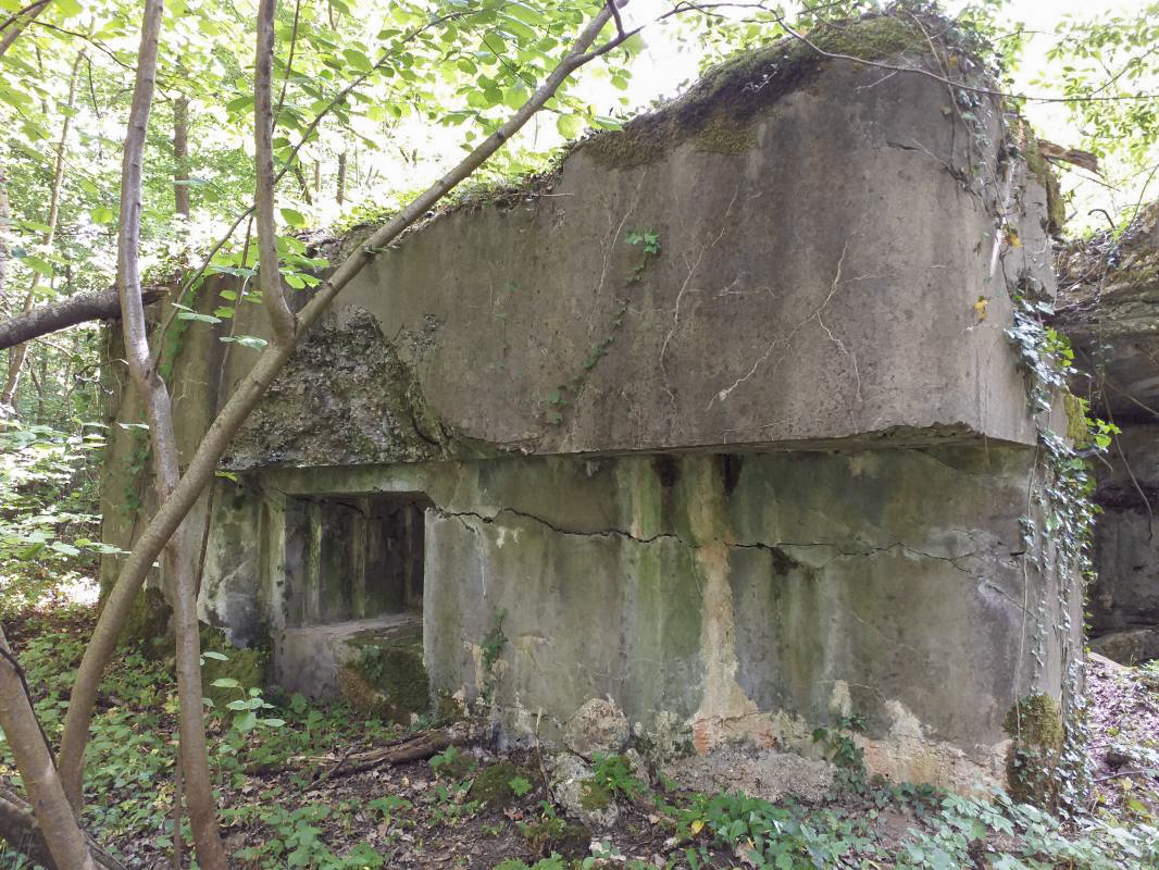 Ligne Maginot - SELTZBACH 5 - (Blockhaus pour arme infanterie) - La façade de la chambre de tir mitrailleuse - gregfuchs