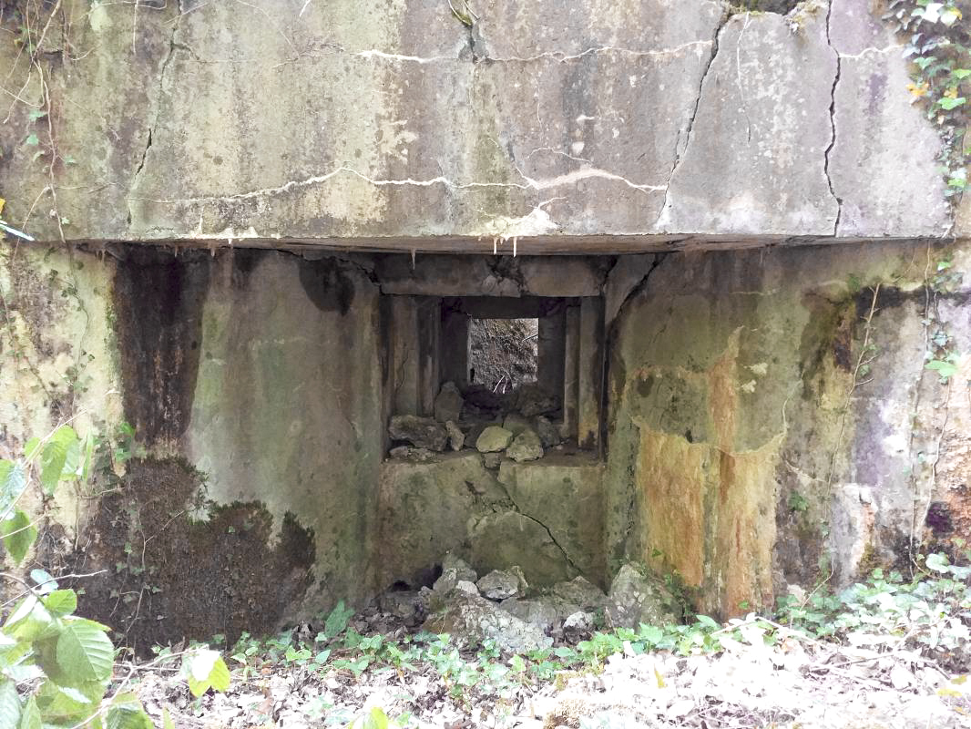 Ligne Maginot - SELTZBACH 5 - (Blockhaus pour arme infanterie) - Créneau FM - gregfuchs