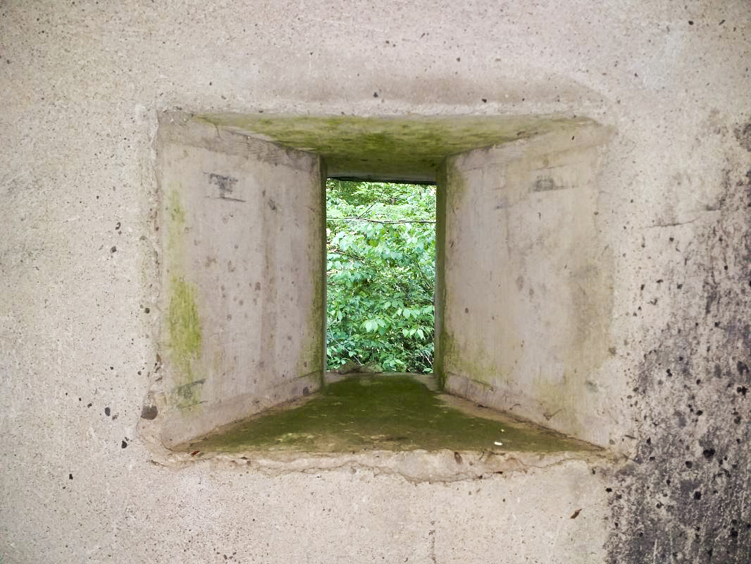 Ligne Maginot - SELTZBACH 6 - (Blockhaus pour arme infanterie) - Chambre de tir tour FM - détail créneau - gregfuchs