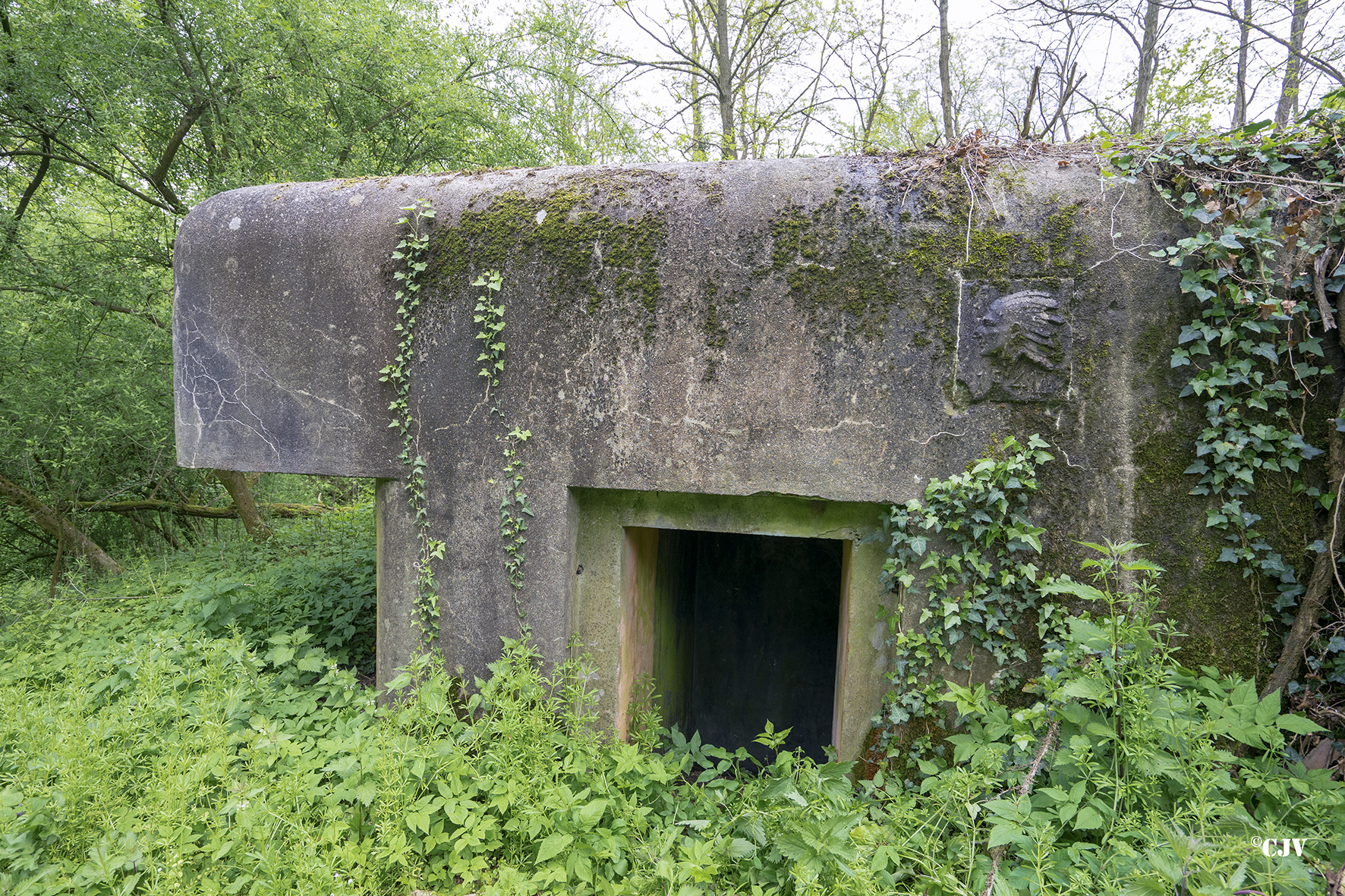 Ligne Maginot - SELTZBACH 7 - (Blockhaus pour arme infanterie) -  - Lia VERMEULEN
