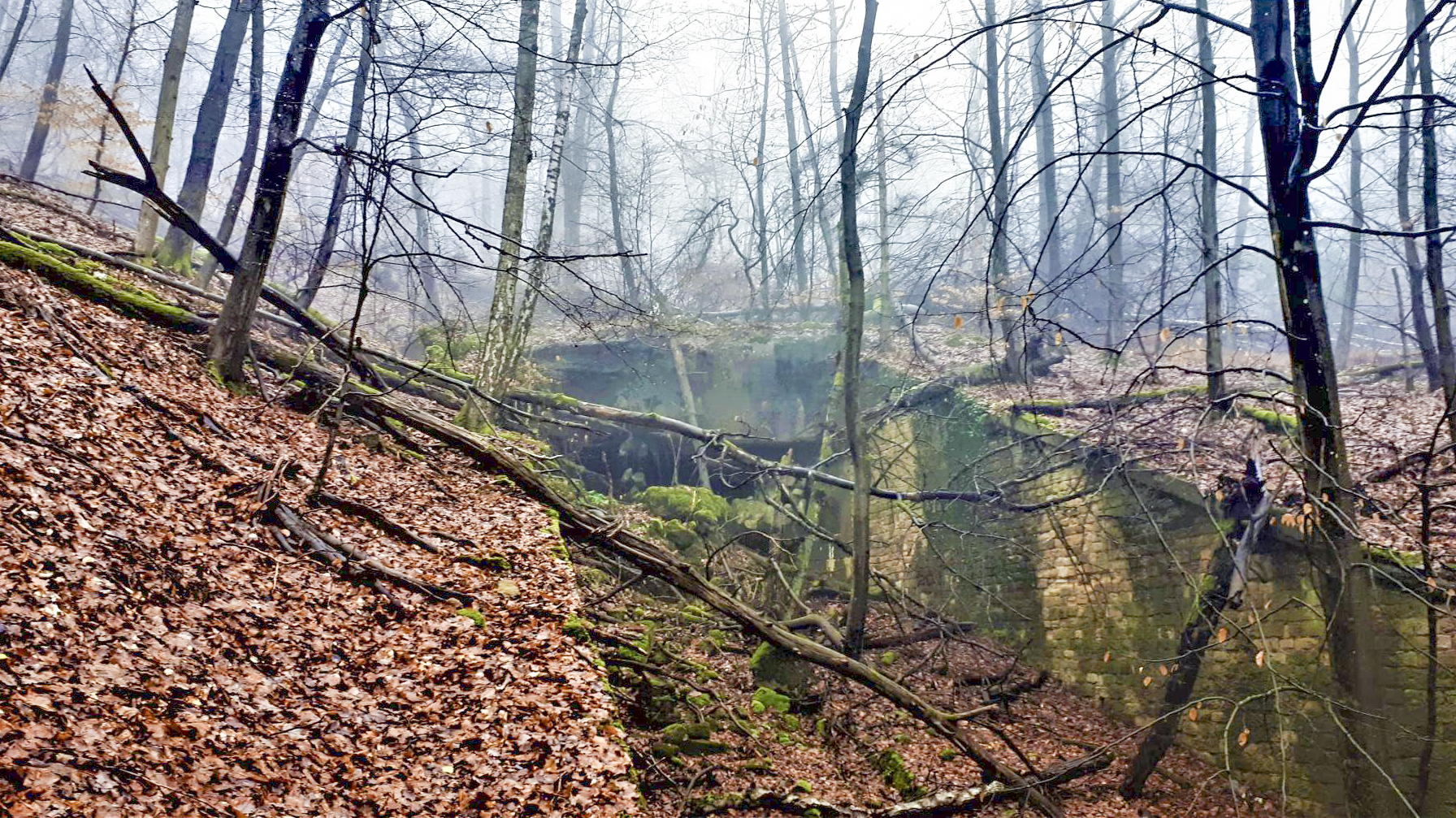 Ligne Maginot - HOCHWALD C8 - (Casemate d'infanterie) - La casemate et le fossé antichar - Gregory Fuchs