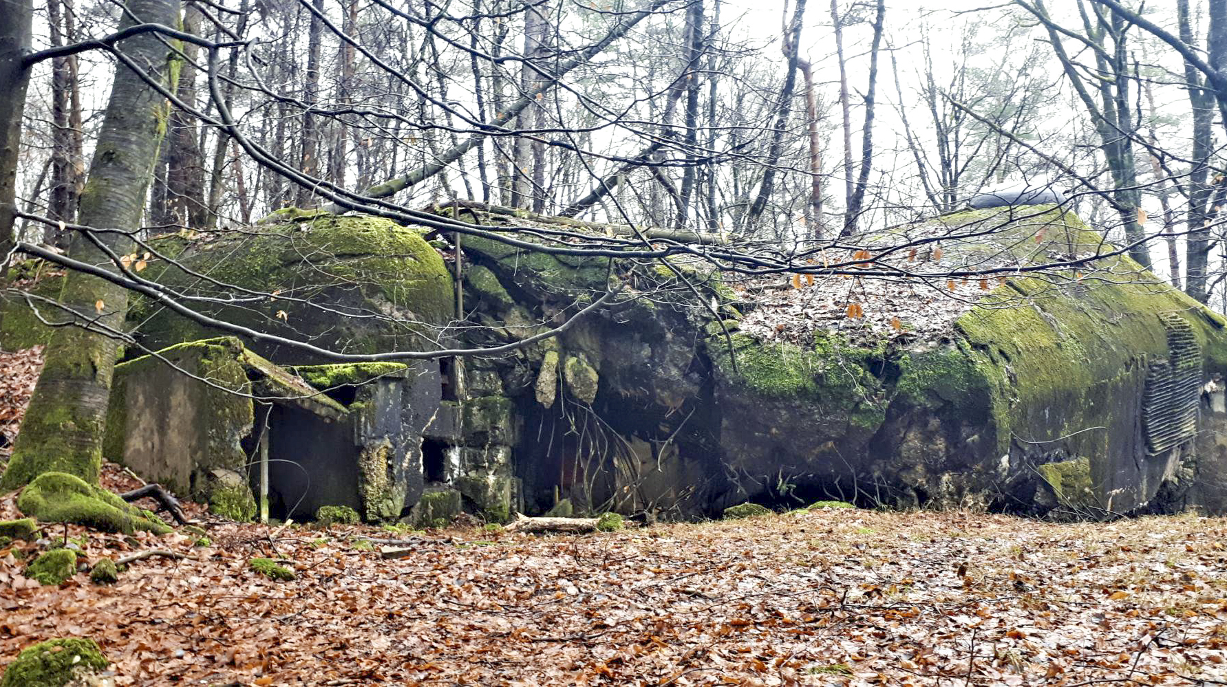 Ligne Maginot - HOCHWALD C6 - (Casemate d'infanterie) - Façade de l'entrée - Gregory Fuchs