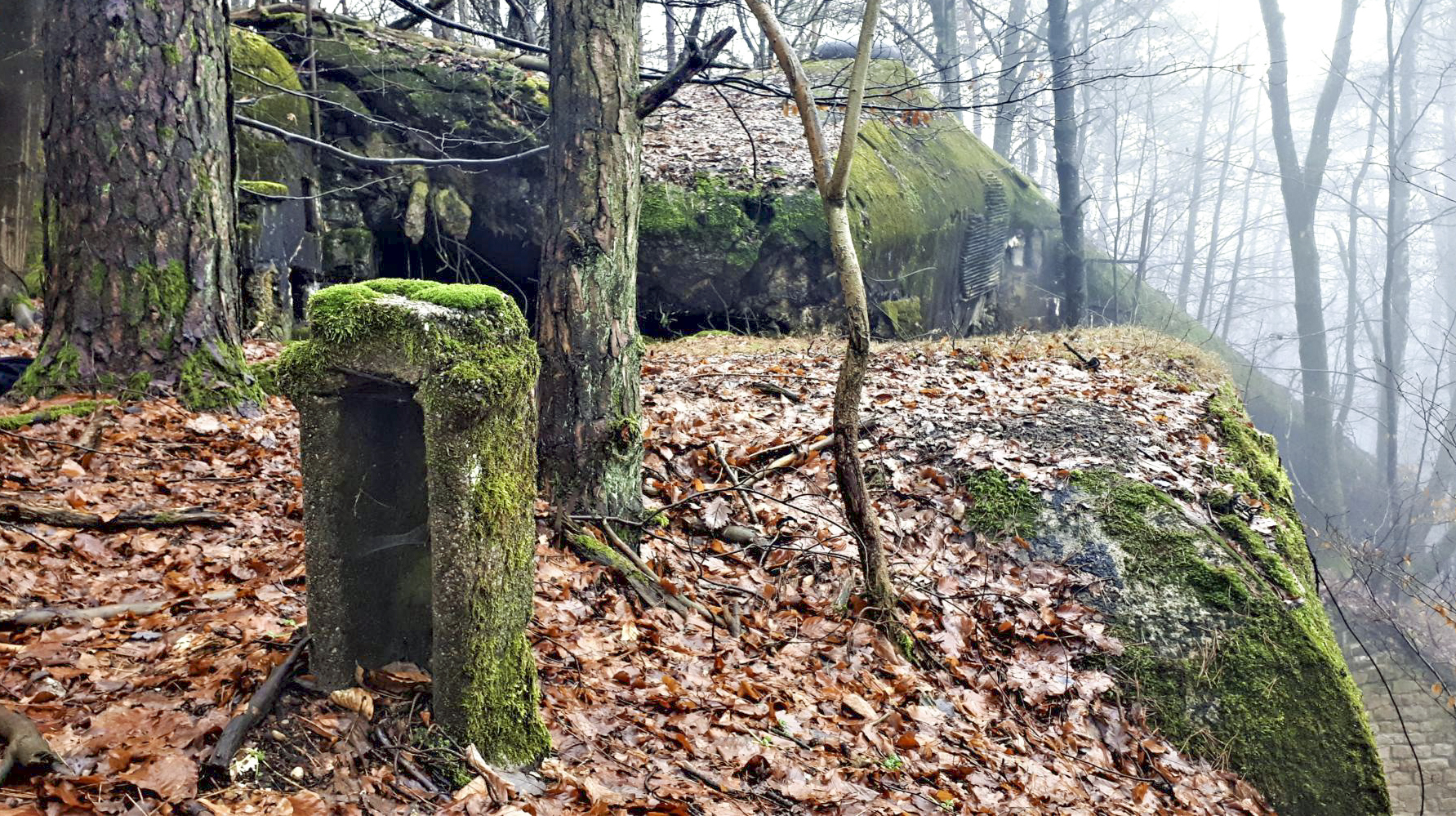 Ligne Maginot - HOCHWALD C6 - (Casemate d'infanterie) - Le support d'un poteau pour l'alimentation électrique extérieure de la casemate - Gregory Fuchs
