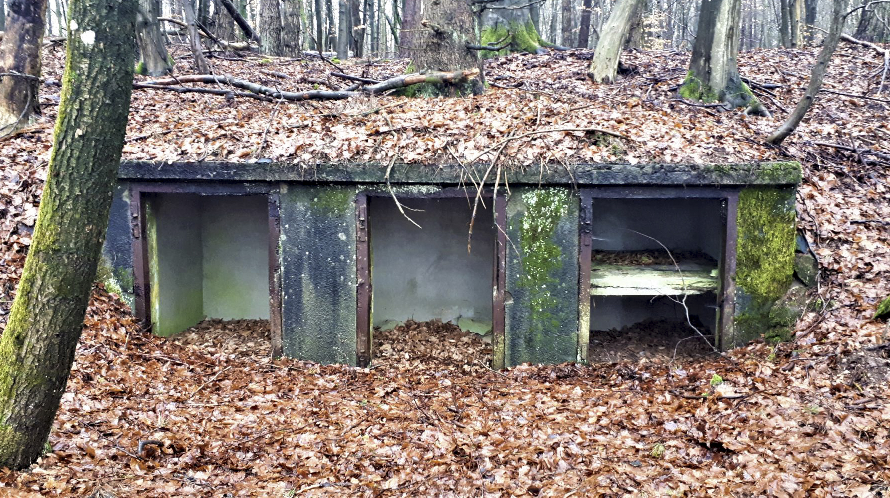 Ligne Maginot - HOCHWALD C6 - (Casemate d'infanterie) - Niches de stockage extérieur pour les mines et le barbelé - Gregory Fuchs