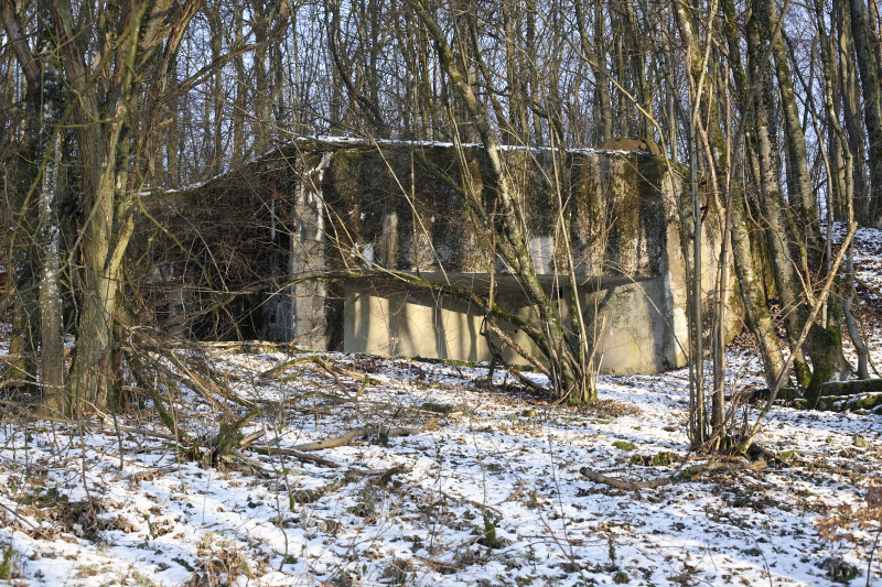 Ligne Maginot - CRUSNES OUEST - C24 - (Casemate d'infanterie - Simple) - Vue générale de la casemate. On notera les créneaux de la chambre de tirs murés. - www.arnaultjl-photo.com