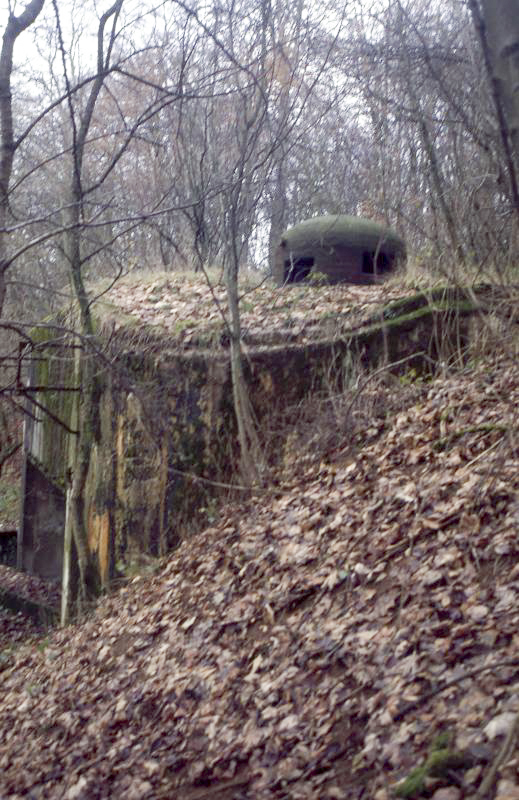 Ligne Maginot - CRUSNES OUEST - C24 - (Casemate d'infanterie - Simple) -  - Valentin Hemmert