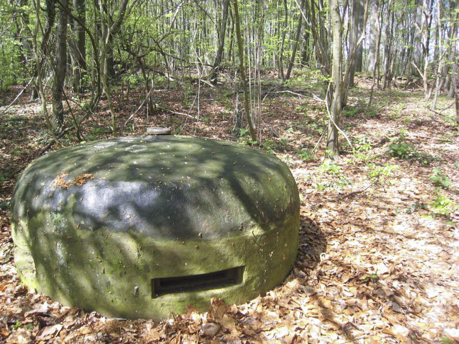 Ligne Maginot - CRUSNES OUEST - C24 - (Casemate d'infanterie - Simple) -  - Pruzsina jerome