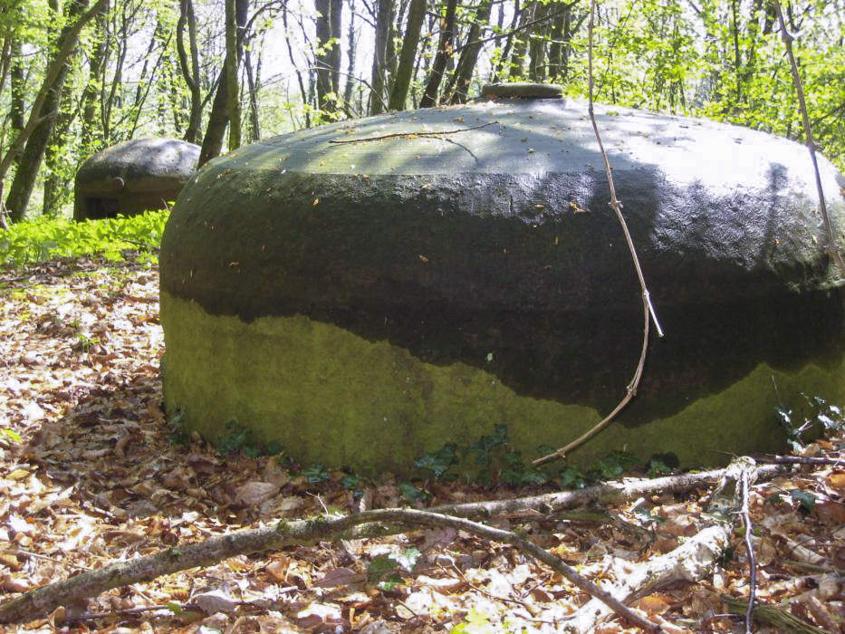Ligne Maginot - CRUSNES OUEST - C24 - (Casemate d'infanterie - Simple) -  - Pruzsina jerome