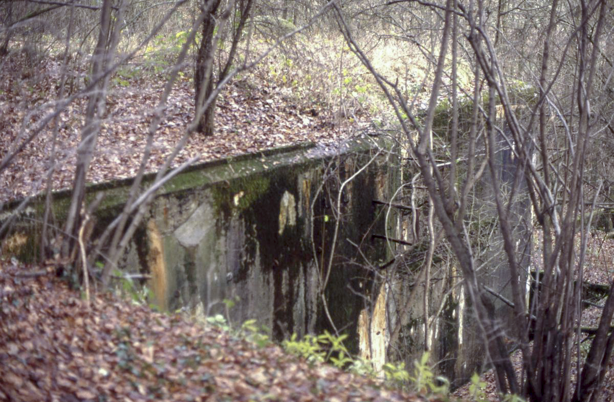 Ligne Maginot - CRUSNES OUEST - C24 - (Casemate d'infanterie - Simple) -  - Valentin Hemmert