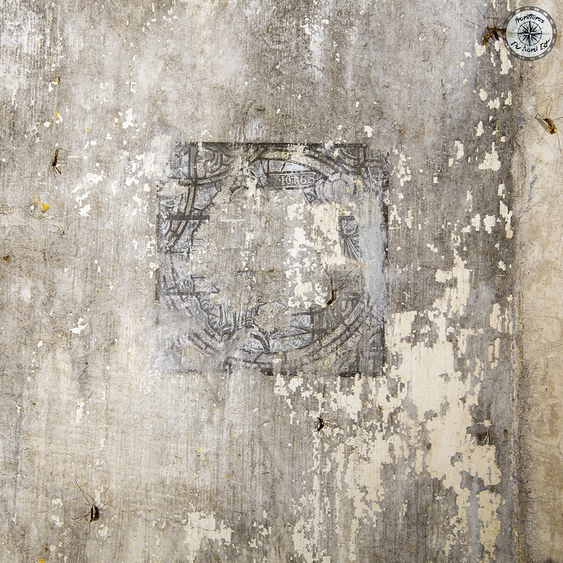 Ligne Maginot - CRUSNES OUEST - C24 - (Casemate d'infanterie - Simple) -  - Thierry Caland