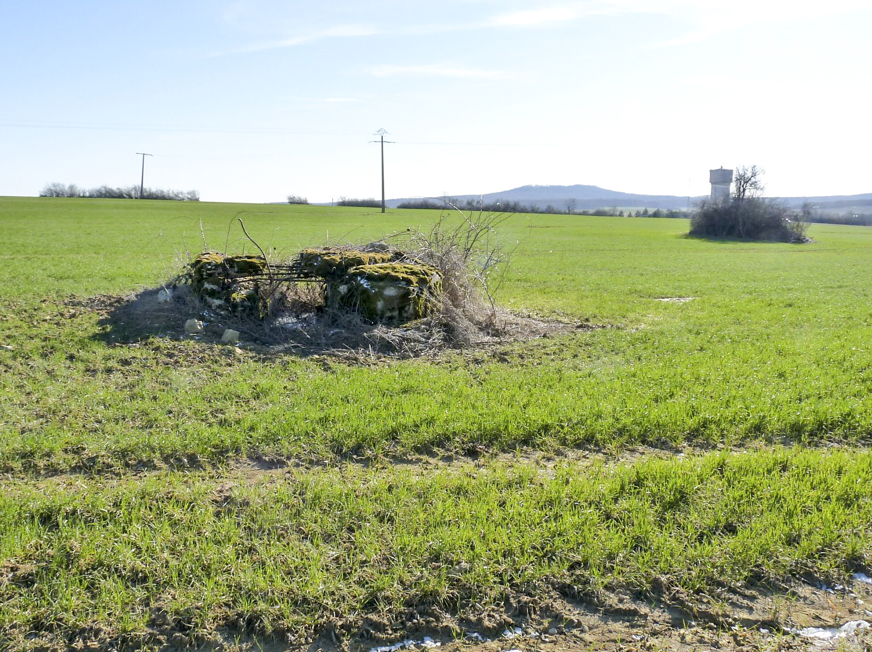 Ligne Maginot - OBERRULEN 2 - (Blockhaus pour arme infanterie) -  - Sylvie-Laure LAMBERT