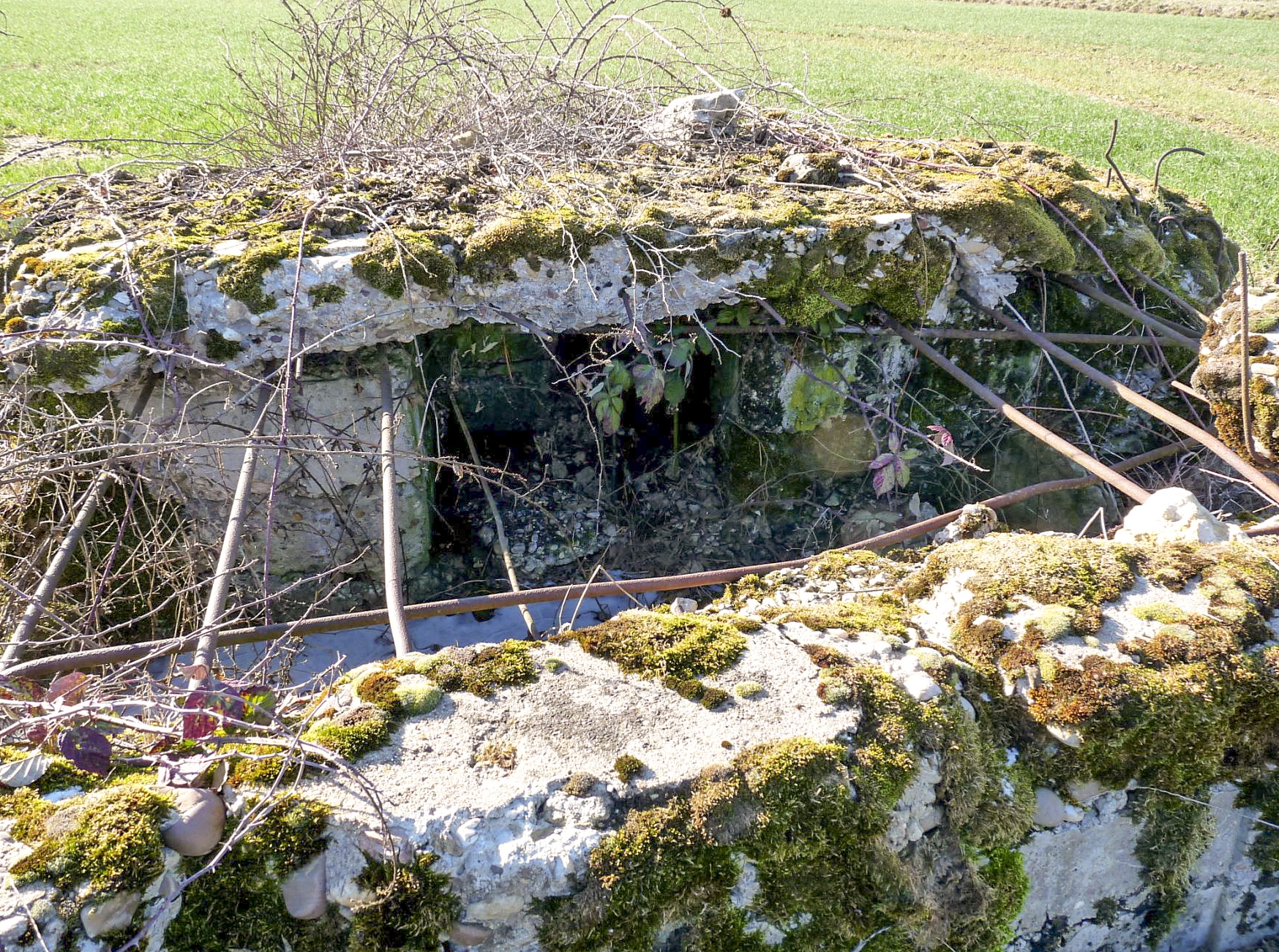 Ligne Maginot - OBERRULEN 2 - (Blockhaus pour arme infanterie) -  - Sylvie-Laure LAMBERT