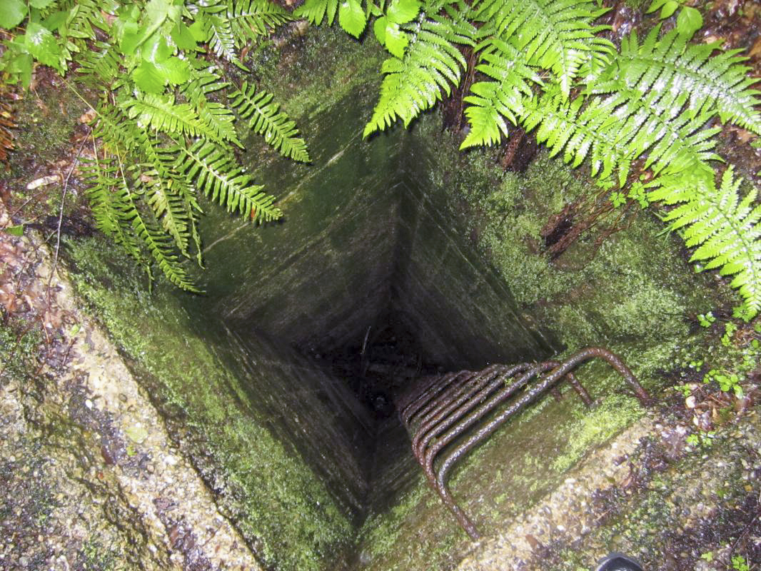 Ligne Maginot - SOUFFLENHEIM (II / 23° RIF) - (Abri) - Un des trois regards de visite de l'égout - gregfuchs