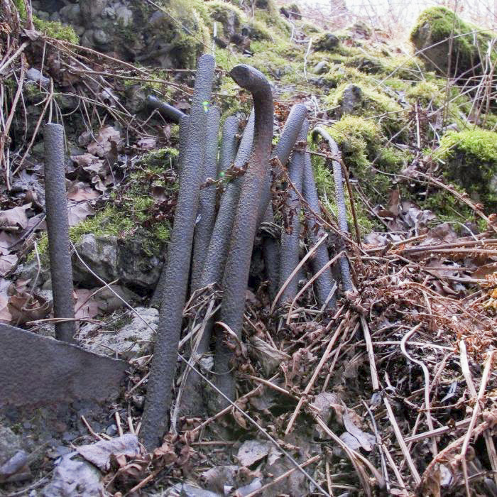 Ligne Maginot - 3/2 - FORT LOUIS VILLAGE - (Casemate d'infanterie - Double) -  - GRASSER Michel