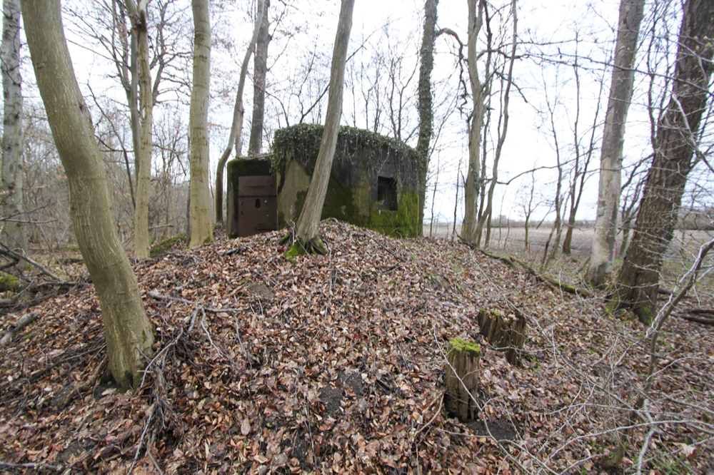 Ligne Maginot - AM SOUFFLENHEIMER Nord (Blockhaus pour arme infanterie) -  - Les Gardiens du Rhin