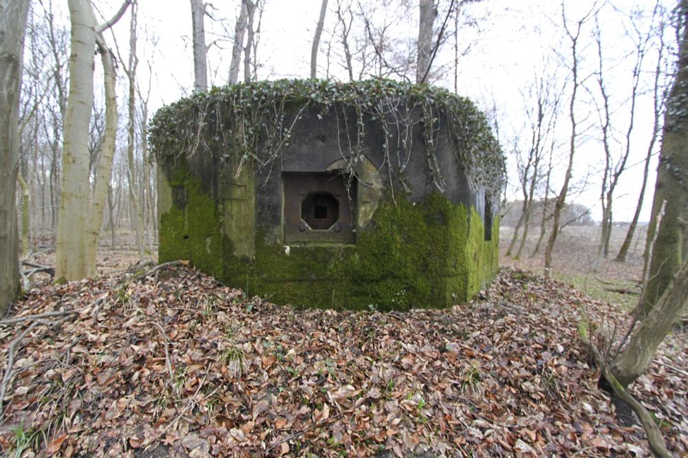 Ligne Maginot - AM SOUFFLENHEIMER Nord (Blockhaus pour arme infanterie) -  - Les Gardiens du Rhin