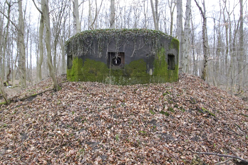Ligne Maginot - AM SOUFFLENHEIMER Nord (Blockhaus pour arme infanterie) -  - Les Gardiens du Rhin