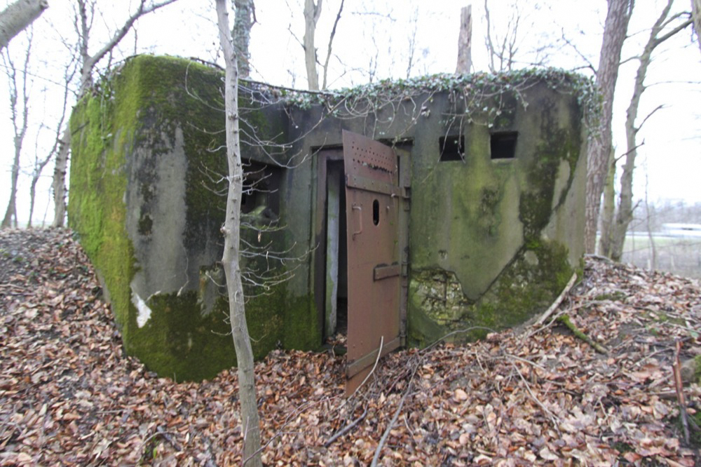 Ligne Maginot - AM SOUFFLENHEIMER Nord (Blockhaus pour arme infanterie) -  - Les Gardiens du Rhin