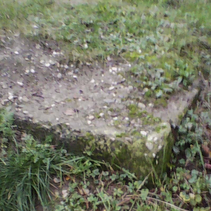 Ligne Maginot - AUENHEIM 5 - (Blockhaus pour canon) - L'un des coins visibles du blockhaus - Arthur