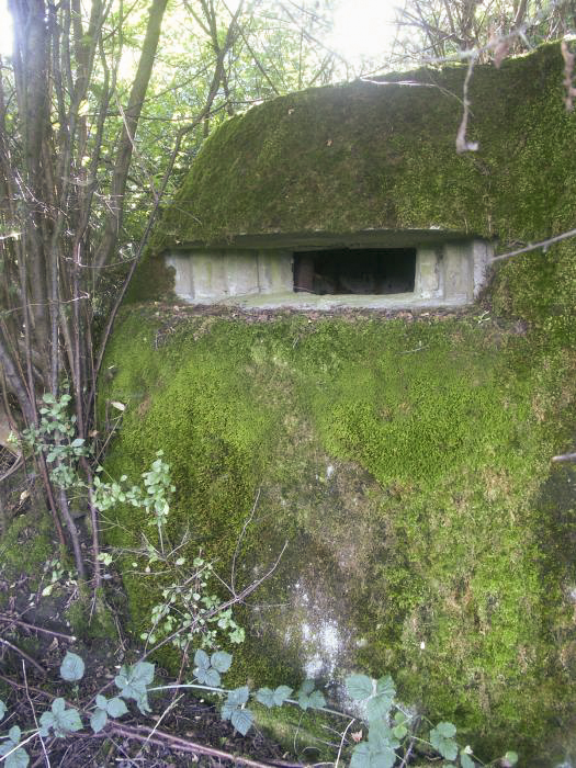 Ligne Maginot - FINNHAAG 2 (Blockhaus pour arme infanterie) - La coupole - Pascal LAMBERT