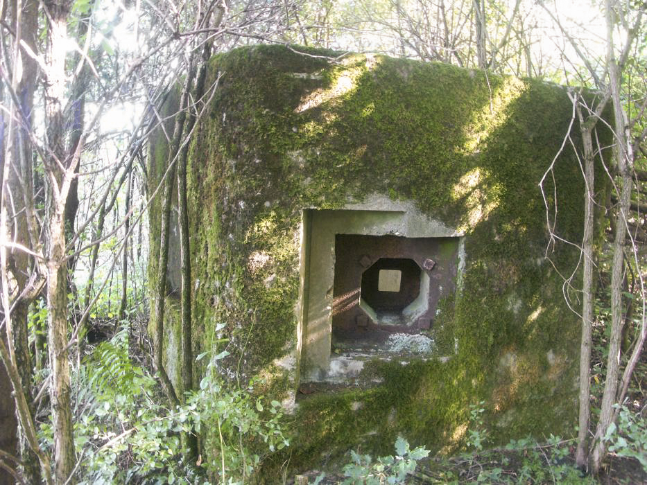 Ligne Maginot - FINNHAAG 2 (Blockhaus pour arme infanterie) - Créneau FM de défense de l'entrée
On entrevoit le second créneau FM sur le coté gauche de la photo - Pascal LAMBERT