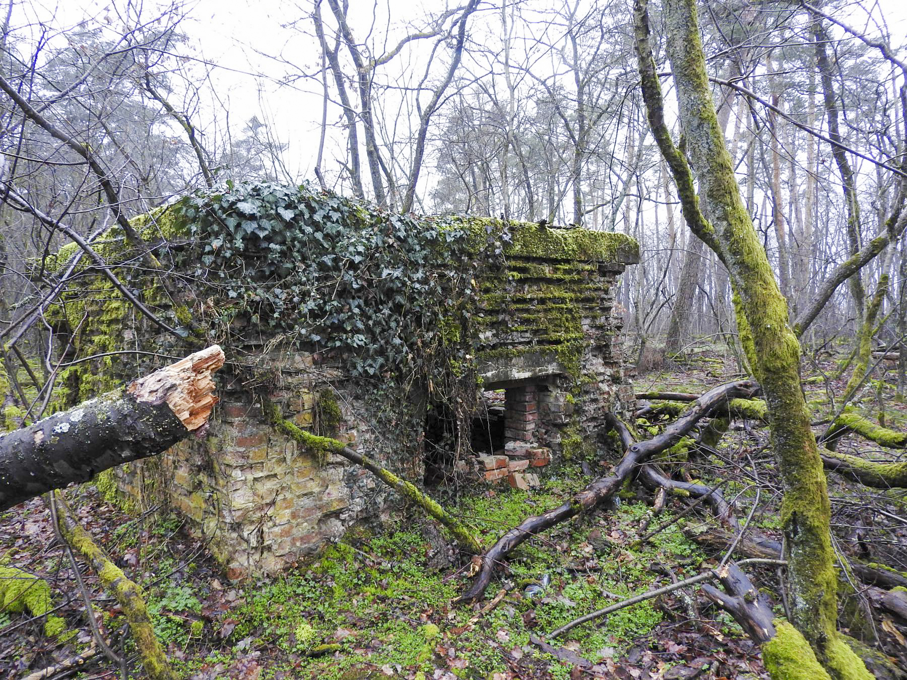 Ligne Maginot - FORLENWALD 1 - (Blockhaus pour canon) - Le créneau anti-char - STENGER Mathieu