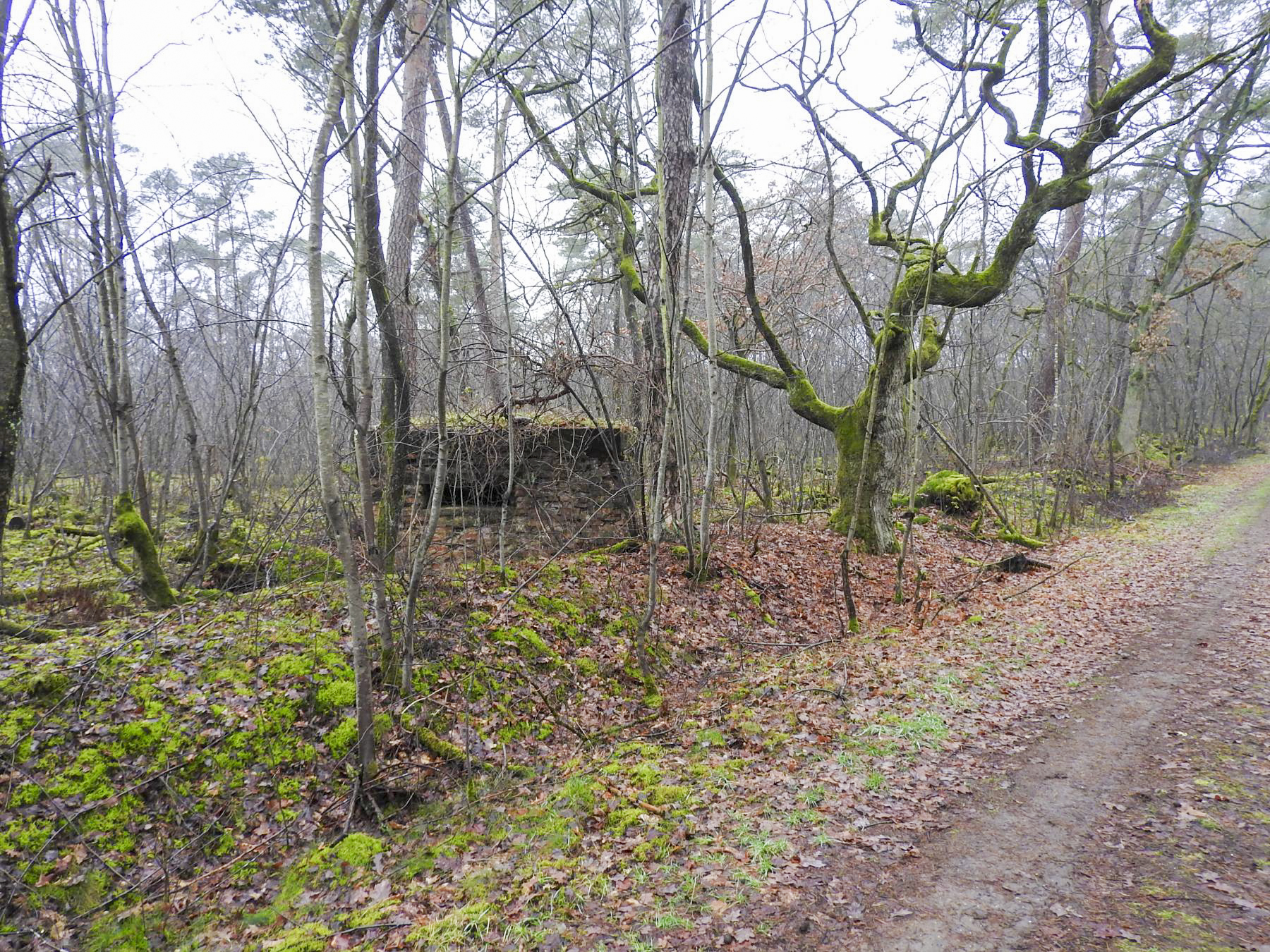 Ligne Maginot - FORLENWALD 2 - (Blockhaus pour arme infanterie) - Le blockhaus pour une arme d'infanterie - STENGER Mathieu